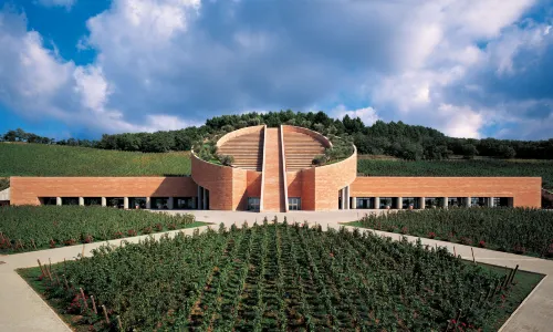 L'Andana Tenuta la Badiola