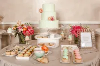 Chateau Mcely - avec sources thermales
