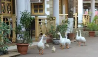 Golden Swan Beach Resort Hotel a Rahatad