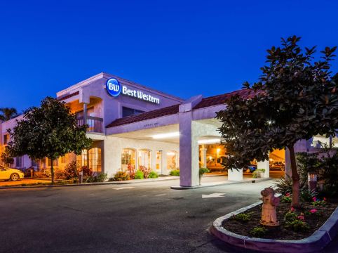 levi camarillo outlet