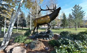 Best Western Antlers