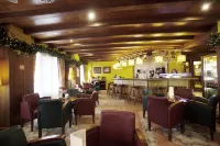 Ski Plaza Hotel & Wellness - bar