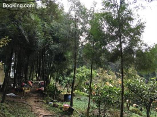 山湖戀民宿 苗栗 優惠住宿訂房 Trip Com