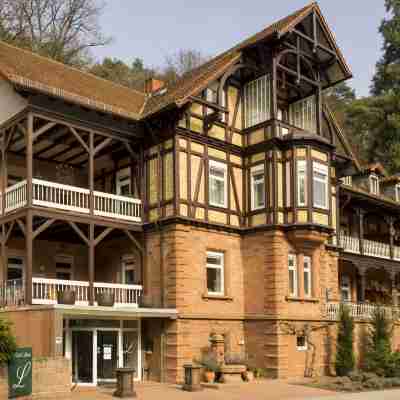 Hotel Luise Hotel Exterior