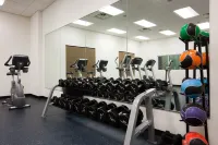 Holiday Inn MADISON AT THE AMERICAN CENTER by IHG - Gym