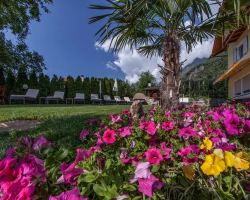 Hotel am Sonneck Hotels in Algund
