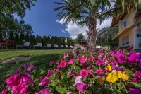 Hotel am Sonneck