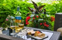 Newsroom Suites Hotels in Bloomfield