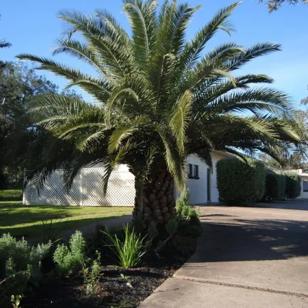 Airlie House Motor Inn