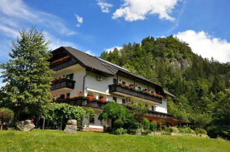 Nature Hotel Lukanc Отели в г. Блед