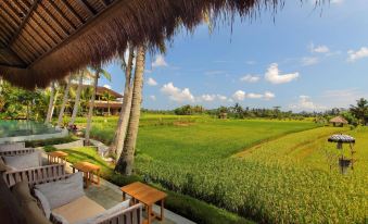 Mathis Retreat Ubud