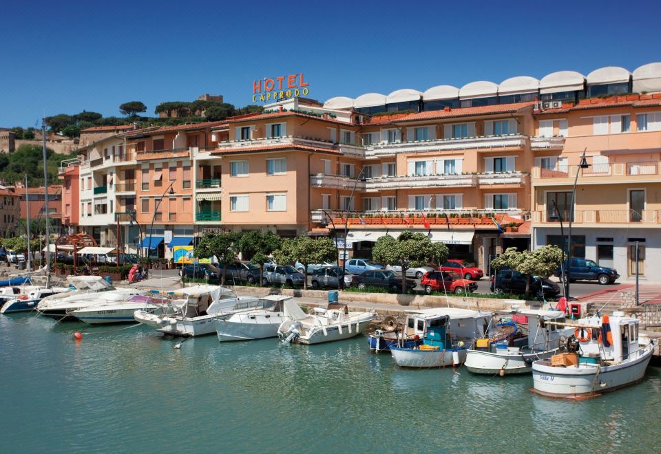 a large hotel is situated next to a body of water with boats docked nearby at Hotel L'Approdo