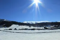 Travel Inn Bakuriani Hotels in Bakuriani