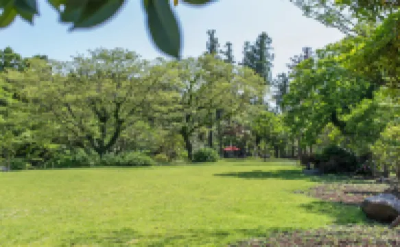 Jeju House Malo Pension (Saryani Hill Stay) Hotels near Sangumburi