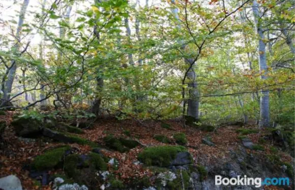 洛杉梅松內斯公寓