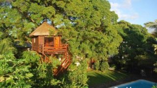 tree-lodge-mauritius