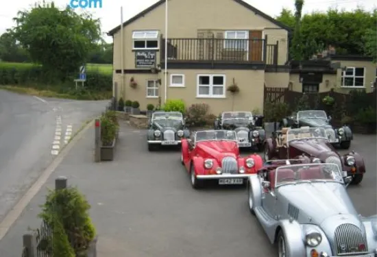 冬青樹住宿加早餐旅館