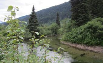 Summit River Lodge & Campsites