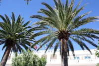 Hotel San Remo - All Inclusive - Fronte Mare - Spiaggia Privata