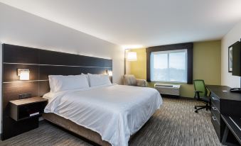 Holiday Inn Express & Suites South Bend - Casino