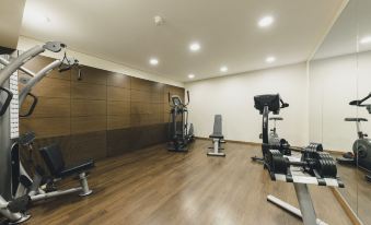 a well - equipped gym with various exercise equipment , including treadmills and weight machines , arranged in a spacious room at Residence Hotel