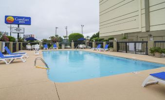 Comfort Inn University Wilmington