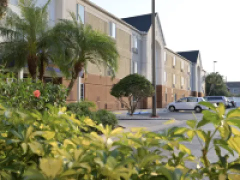 索內斯塔簡約套房-克利爾沃特 皮尼拉斯縣酒店