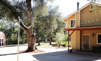 Bird Watcher Inn