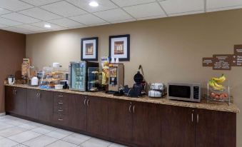 Microtel Inn & Suites by Wyndham Columbia/at Fort Jackson
