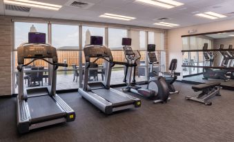 a gym with treadmills , elliptical machines , and other exercise equipment , surrounded by large windows that offer views of the outdoors at Courtyard Elmira Horseheads