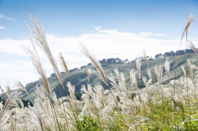 ホテル周辺 星野リゾート 界 アンジンの写真