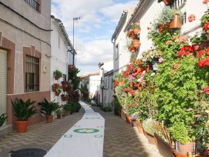 House with 2 Bedrooms in Chiclana de Segura, with Wonderful Mountain V