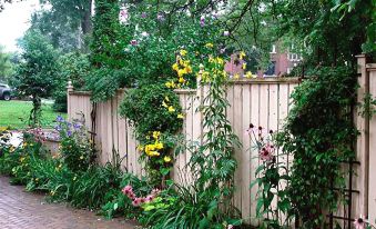 Tranquil Days Guest House - a Truly Exceptional Bed and Breakfast - Housity