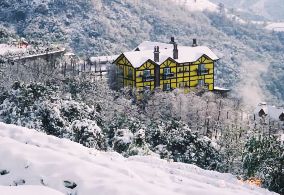 4. 프로방스 로즈 ..