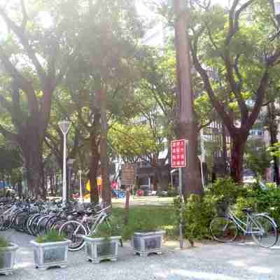 Arena Ruifeng Others
