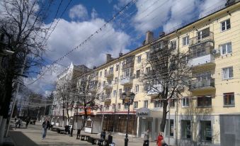 Apartment Pochtovaya 62