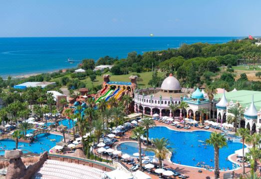 카멜리아 아이쉰 클럽