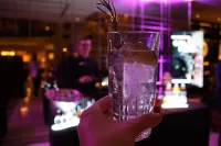 Hilton Berlin - 5-Star