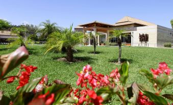 a large , white house surrounded by green grass and trees , with red flowers in the foreground at Zafiro Can Picafort