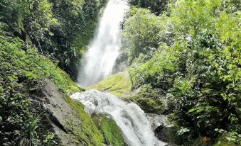Talamanca Nature Reserve