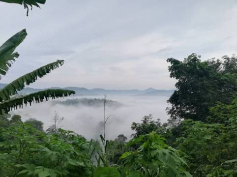 Hulu Langat Home Stay Eco Farm Hulu Langat Updated 2021 Price Reviews Trip Com