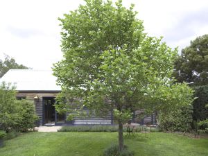 Elm Cottage Barn