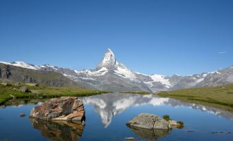 Alpine Hotel Perren