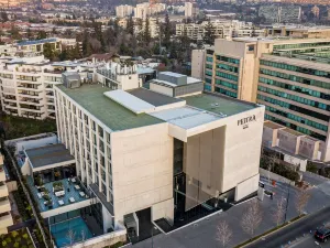 Wyndham Santiago Pettra