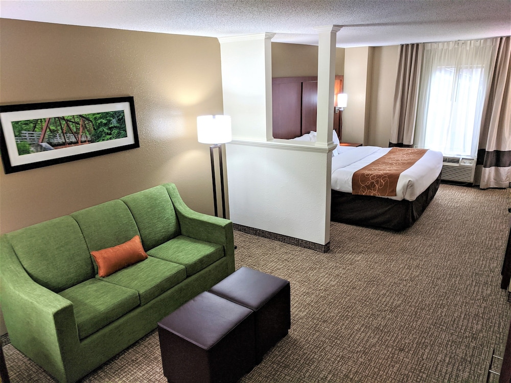 Comfort Suites Abingdon I-81