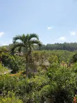 Villa KaWeBe Pujon 호텔