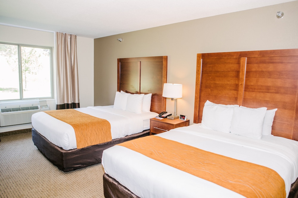 Comfort Inn and Suites Custer