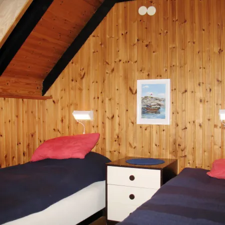 Lofsdalen Fjällbjörken