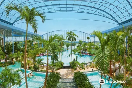 Ringhotel Winzerhof Отели рядом с достопримечательностью «Stadthalle»