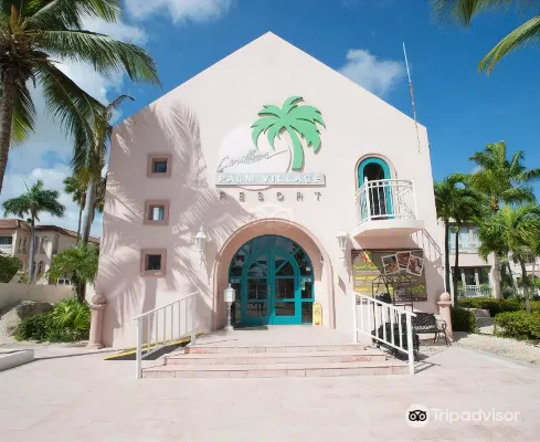 Caribbean Palm Village Resort Hotel a Noord